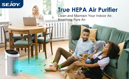 Sejoy-purificador de aire con filtro HEPA para interiores, 200 pies cuadrados, eliminación del 99.9% con ionizador, silencioso, 3 velocidades, purificador de aire para dormitorio y mascotas